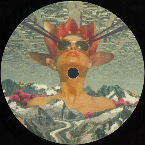 Adam Collins - MSR002