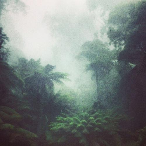 Awir Leon - MMFT