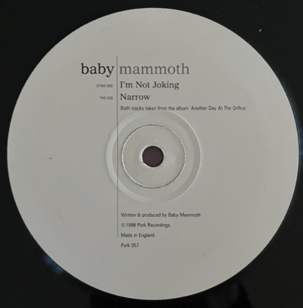 Baby Mammoth - I'm Not Joking / Narrow