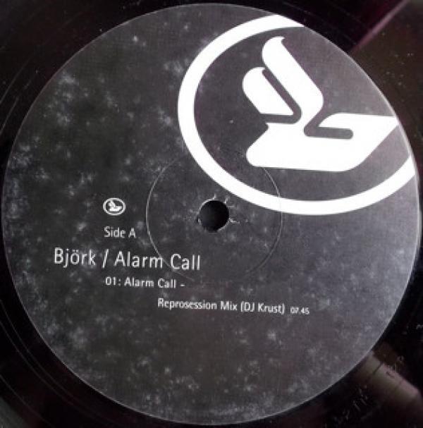 Björk - Alarm Call
