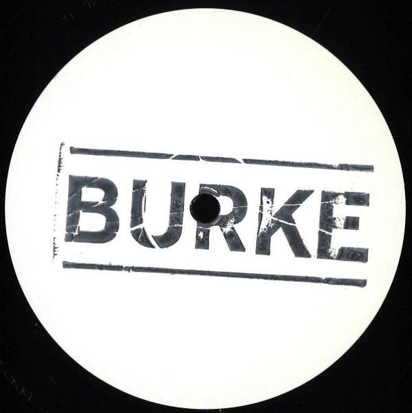Burke (8) - Blue Tongued Skink