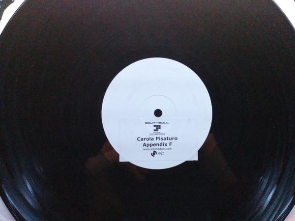 Carola Pisaturo - Appendix F