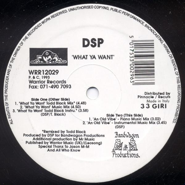 DSP (11) - What Ya Want