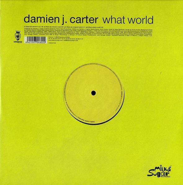 Damien J. Carter - What World