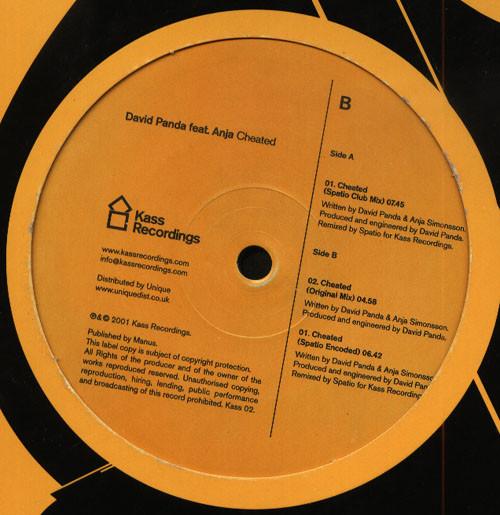 David Panda - Cheated