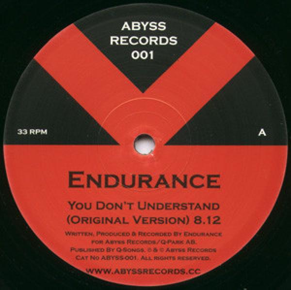 Endurance - You Don't Understand