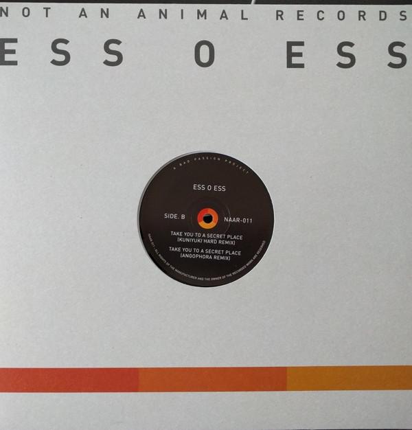 Ess O Ess (2) - Take You To A Secret Place