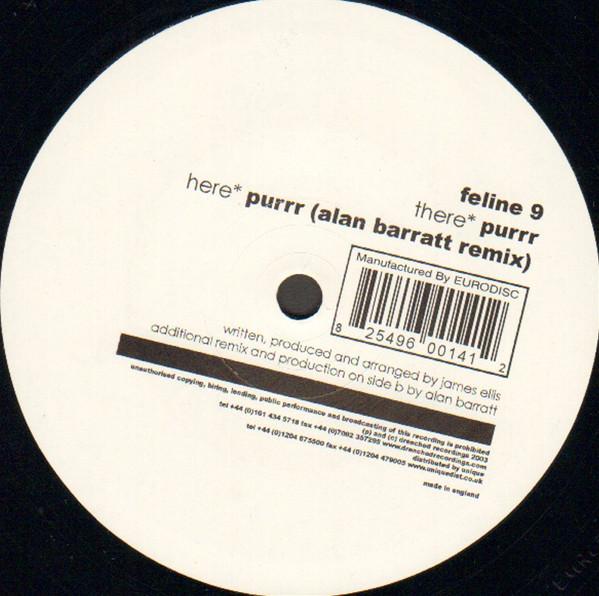 Feline 9 - Purrr
