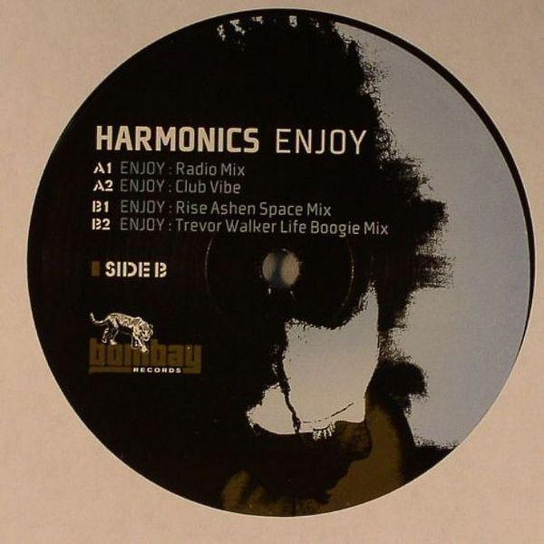 Harmonics - Enjoy