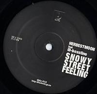 Herbest Moon - Snowy Street Feeling