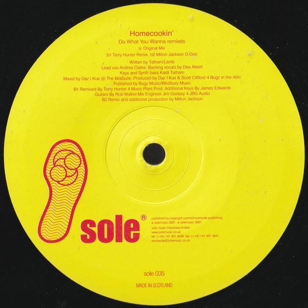 Homecookin' - Do What You Wanna Remixes