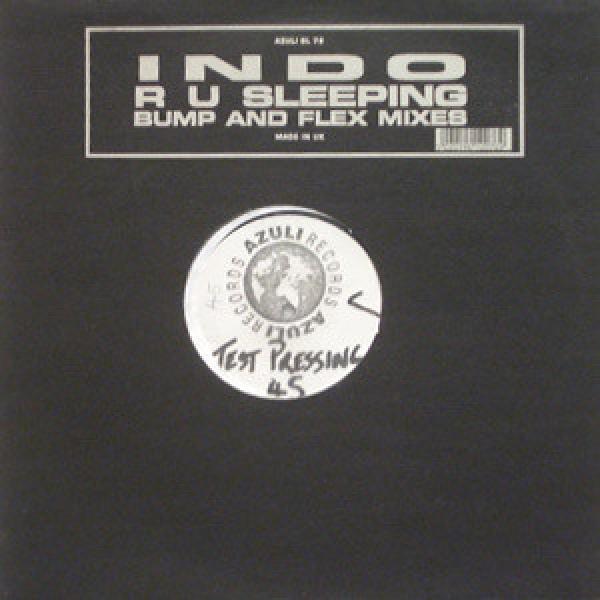 Indo - R U Sleeping (Bump And Flex Mixes)