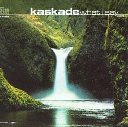 Kaskade - What I Say