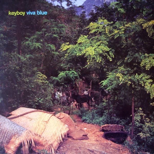Keyboy - Viva Blue