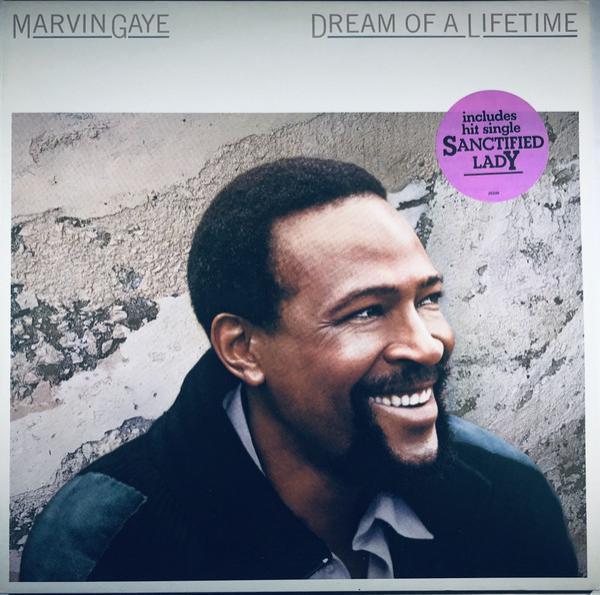 Marvin Gaye - Dream Of A Lifetime