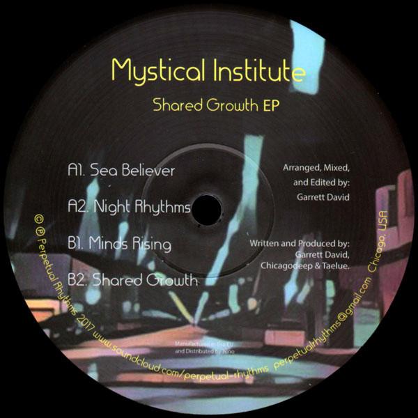 Mystical Institute - Shared Growth EP