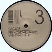 Primordial Nature - Evergreen EP