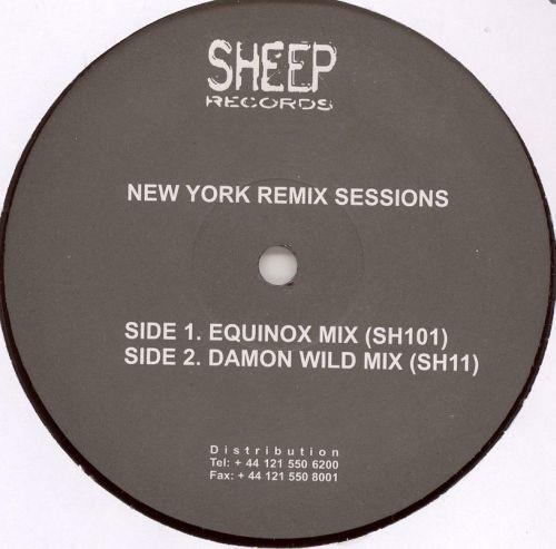 Raoul Delgardo, David Paxton - New York Remix Sessions