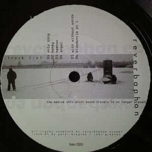Reverbaphon - The Medium Thru Which Sound Travels Is No Longer Present