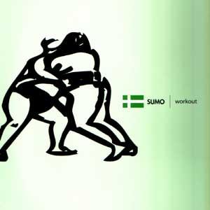 S.U.M.O. - Workout