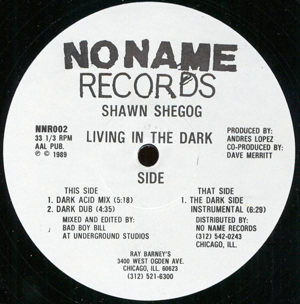 Shawn Shegog - Living In The Dark Side