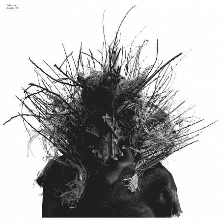 Teleseen - Anamorph