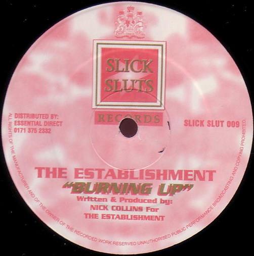 The Establishment - Burning Up