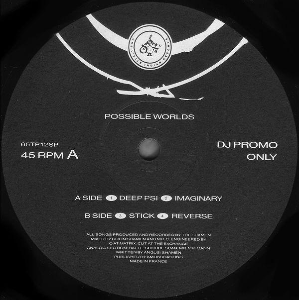 The Shamen - Possible Worlds