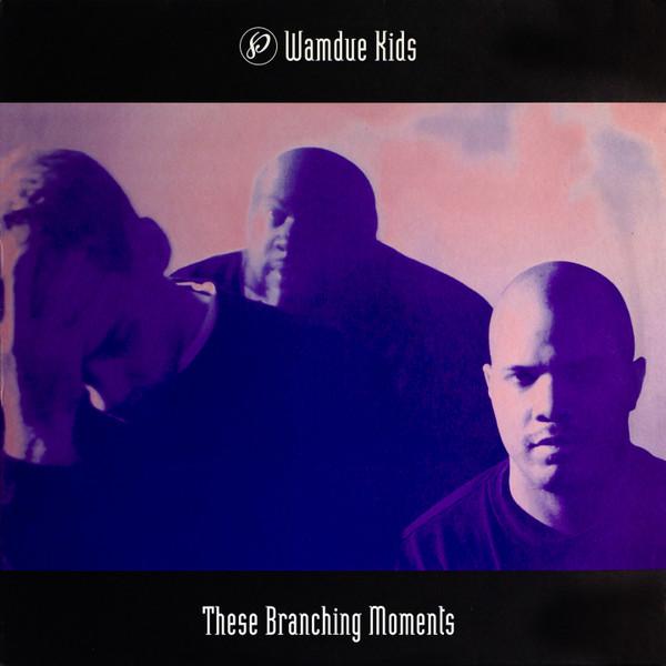 Wamdue Kids - These Branching Moments