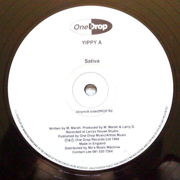 Yippy A - Sativa / Orange